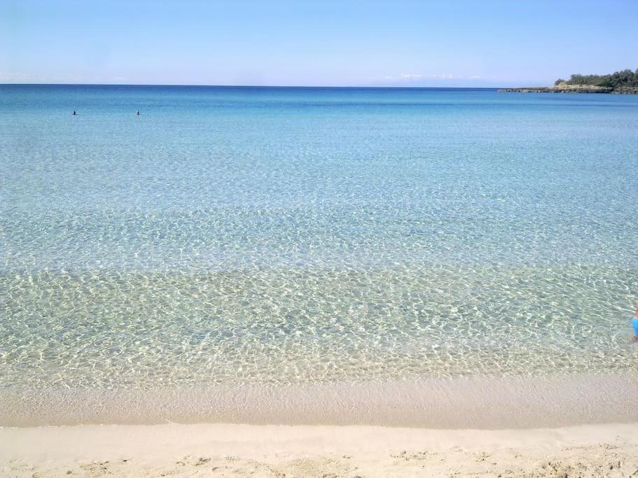Casa Vacanze Il Carrubo レポラーノ エクステリア 写真